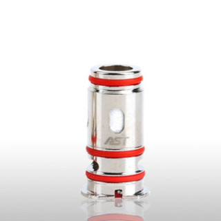 WX coil (4pcs) pour RX G - Wismec